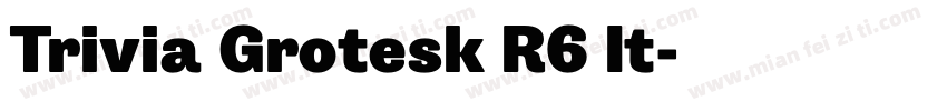 Trivia Grotesk R6 It字体转换